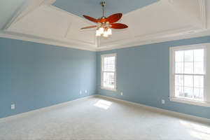 Image of finished wall painting